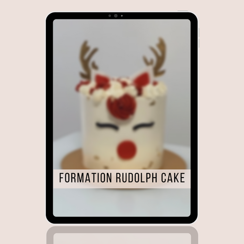 Formation - Rudolph Cake